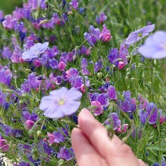 Yufu|朝日と花と、これからの人生のアイコン